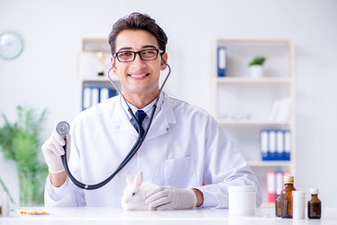 Similar image 19951452