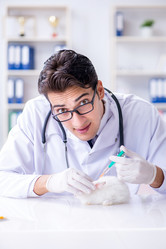 Similar image 19951456