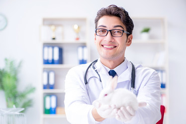 Similar image 19951458