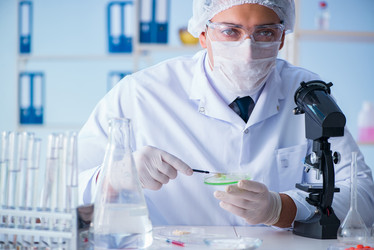 Similar image 19951508