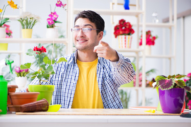 Similar image 19951555