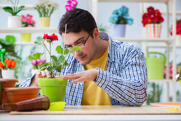 Similar image 19951563