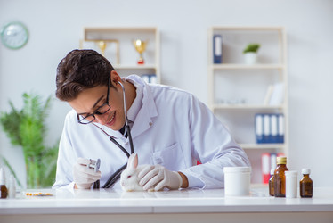 Similar image 19951570