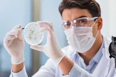 Similar image 19952899