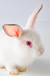 Similar image 19953000