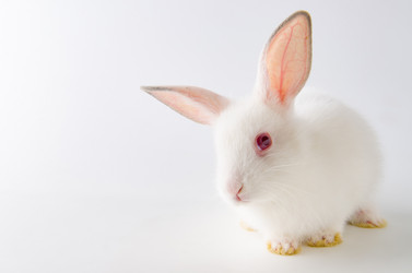 Similar image 19953008