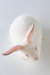 Similar image 19953015