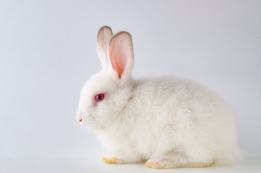 Similar image 19953020