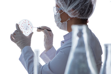 Similar image 19953103