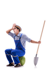 Similar image 19953581