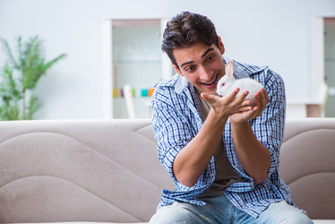 Similar image 19953875