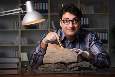 Similar image 19955835