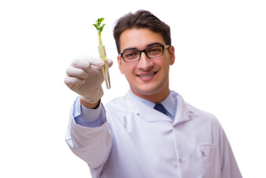 Similar image 19955840