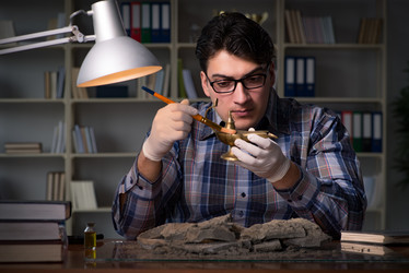 Similar image 19955847