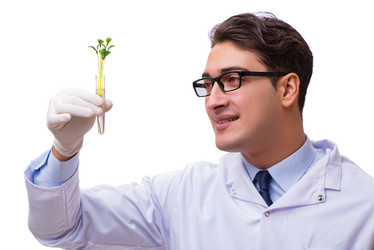 Similar image 19955921