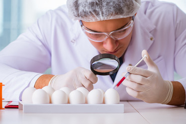 Similar image 19956008