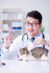 Similar image 19956017