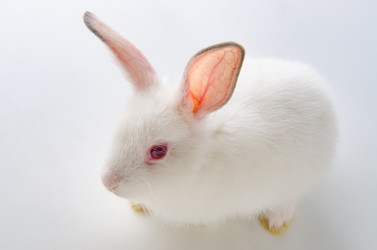 Similar image 19956218