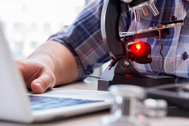 Similar image 19956656