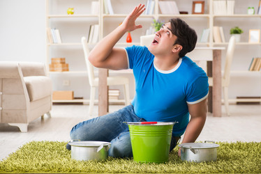 Similar image 19957046