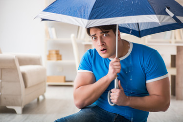 Similar image 19957935