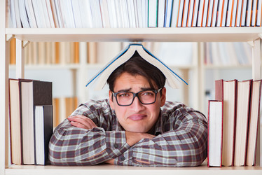 Similar image 19958595