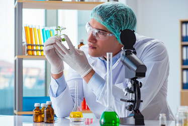 Similar image 19958807