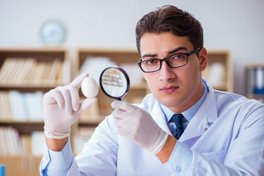 Similar image 19958872