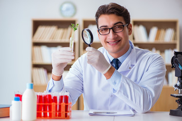 Similar image 19958961