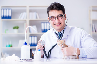 Similar image 19959461