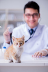 Similar image 19959468