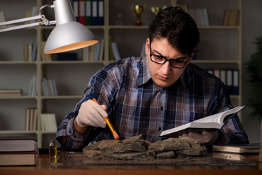 Similar image 19959505