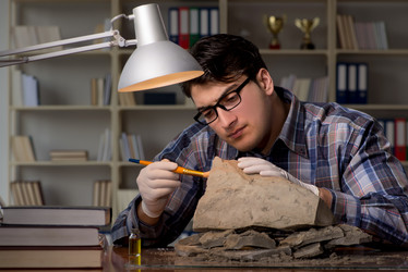 Similar image 19959547