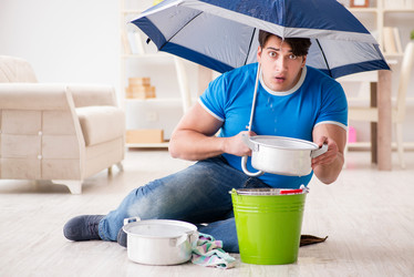 Similar image 19959662