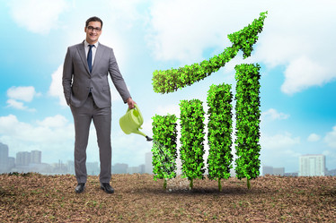 Similar image 19960254