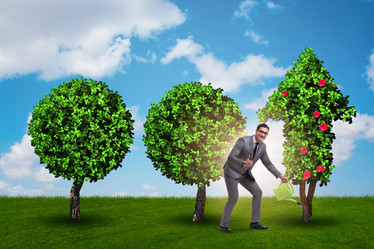 Similar image 19960258