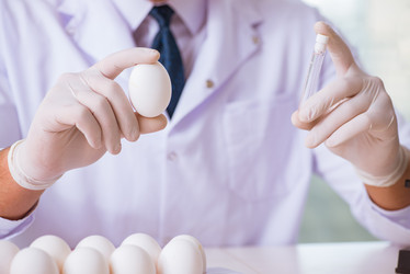 Similar image 19960412