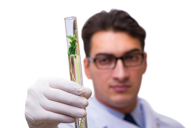 Similar image 19960475