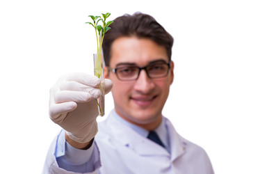 Similar image 19960489