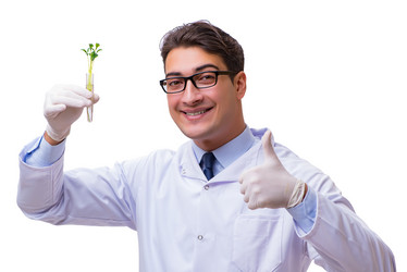 Similar image 19960494