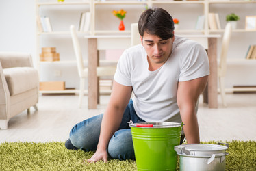 Similar image 19960908