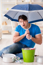 Similar image 19960926