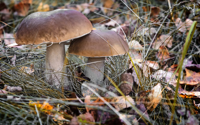 Similar image 20166627