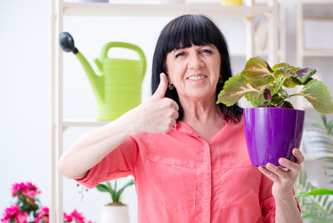 Similar image 19961610