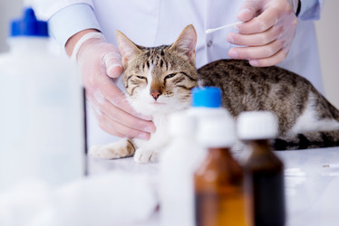 Similar image 19961704