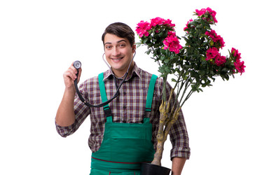 Similar image 19961762