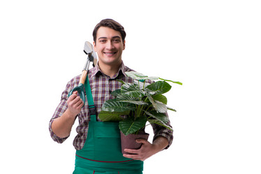 Similar image 19961797