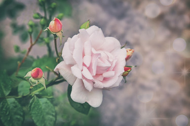 Similar image 20166494