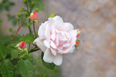 Similar image 20166496