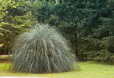 Similar image 20166498